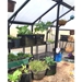 24" x 60" Superior Greenhouse Benches - BF 
