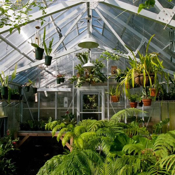 Cross Country Cottage Greenhouses - 2565100CT