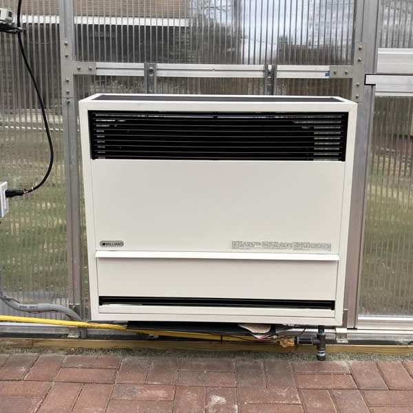 Williams DV22 Direct Vent Gas Heaters - 4100115