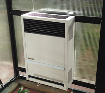 Williams DV14 Direct Vent Gas Heaters - 4100105