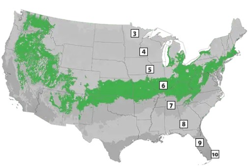 Zone 6 Greenhouse Growing Guide