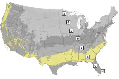 Zone 8 Greenhouse Growing Guide