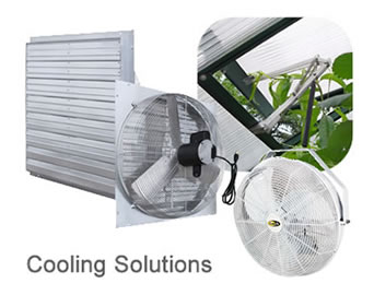 Cooling Solutions