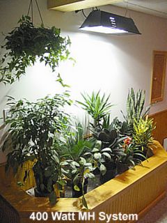هاليد معدني ينمو أضواء للنباتات الداخلية